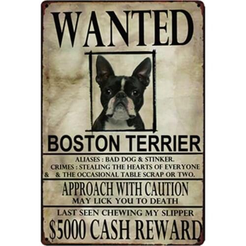 [ Kelly66 ] Boston Terrier Dogs Wanied Metal Sign Tin Poster Home Decor Bar Wall Art Painting 20*30 CM Size y-2095