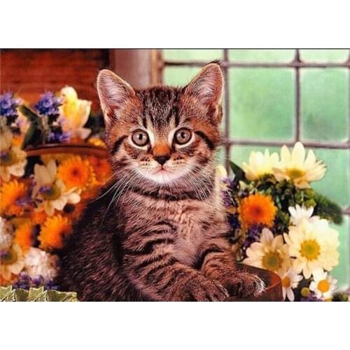 Cat animal DIY Crystal 5D full plastic diamond painting embroidery machine glue cross stitch kit art 3D mosaic square rhinestone