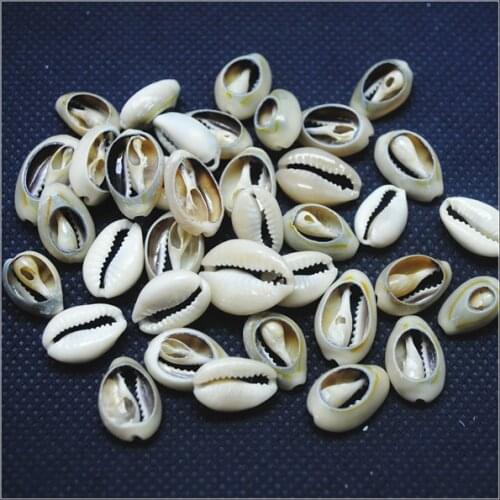 100pcs nature shell beads mother of pearl snail phnom penh for clothes garments hats making size 15-18mm