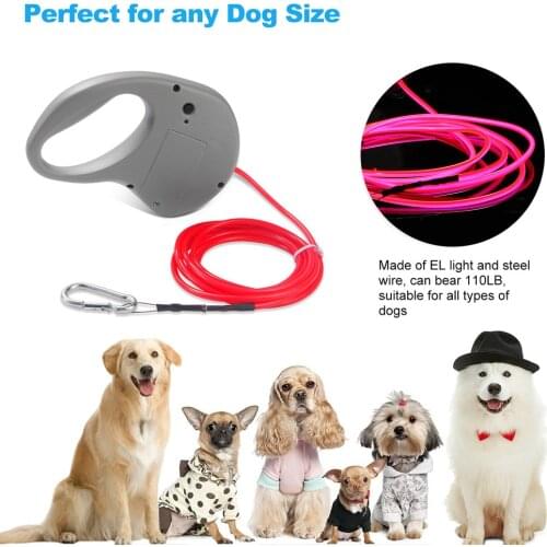 LED Night Safety Flashing Dog Pet Collar Leash Luminous Collar For Dogs/Cats Walking Traction Rope Accessories For Pet Products