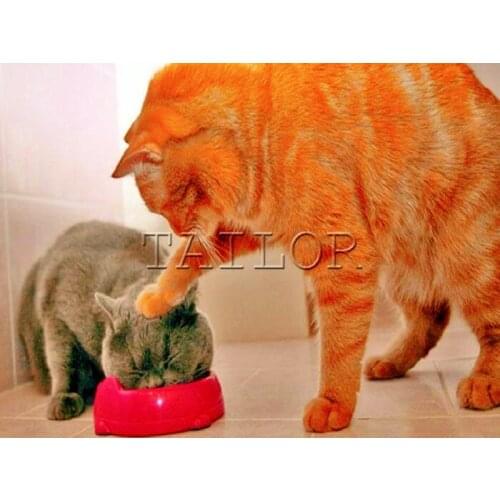 Cuadros full square 5d diamond painting kit set complet Cross stitch embroidery dirll drawing mosaic Colour animals cartoons cat