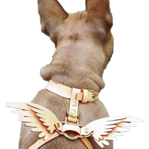 2021 New Angel Wings Decoration Cutting Dies Wooden Knife Die Compatible With Most Manual Die Cut Cutters