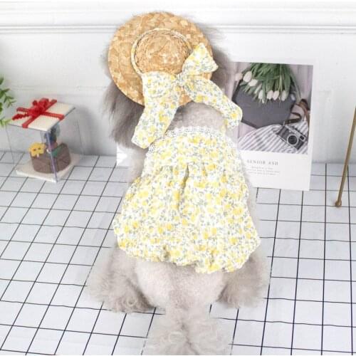Fashion Dog Costumes Summer Pet Dog Clothes Skirt Cute Cat Dog Dress and Hat Yorkshire Pomeranian Poodle Bichon Clothing