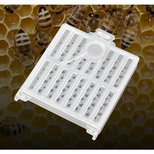 New Design Queen Bee Post Cage Transparent Move Transmit Mail Box Insect House Plastic Rearing Tools Beekeeping Supplies