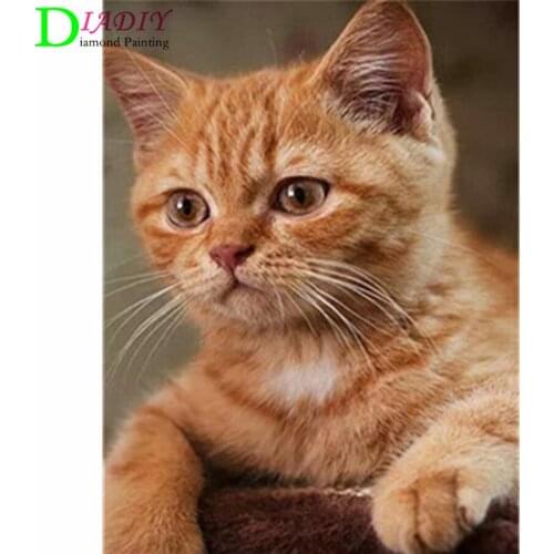 NEW Full Square Diamond Painting Cat 5D Diy Diamond Embroidery Animal Mosaic Picture Of Rhinestone Home Decoration Girl Hobby