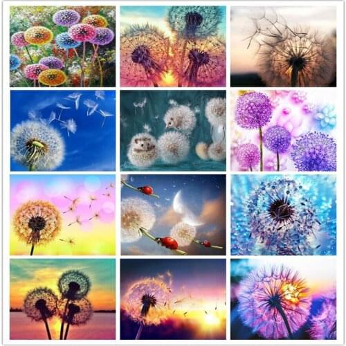 TOUOILP 5d diy Diamond embroidery colorful dandelion 5d diamond painting Cross Stitch full square Rhinestone mosaic decoration