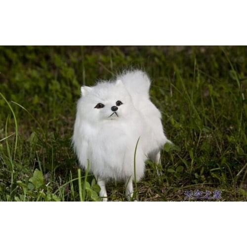 New simulation Pomerania toy polyethylene & furs white Pomerania model gift about 20x18x6cm 0459
