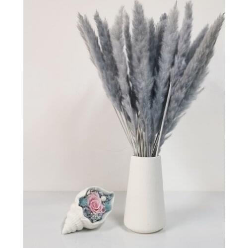 15pcs Real Dry Small Bulrush Pampas Grass Rabbit Grass Wedding Flower Bunch for Home Decor Natural Plants Wholesale