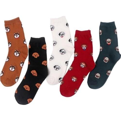 MYORED 5pairs woman short socks womens cotton cartoon animal for woman casual dress gift socks Calcetines de dibujos animados