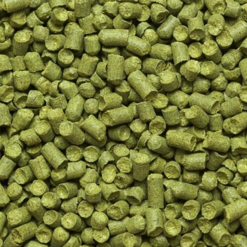 Чувашхмельпром Brewing Equipment