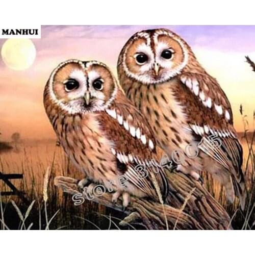 Diamond Mosaic Painting Cross Stitch Two owls Square Full Decorative Diy Diamond Embroidery Animals Fashion Gifts BFC074