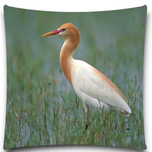 A bird looking in the field 2D print creative Pillow case Square cotton polyester cushion cover 5 size 9 style