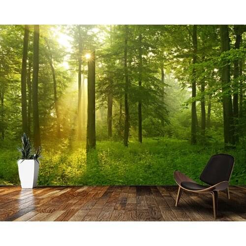 Papel de parede Foggy beech forest in the sun 3d wallpaper mural,living room tv wall bedroom kitchen wall papers home decor