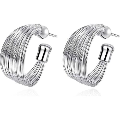 Free Delivery Wholesale High Quality Jewelry 925 jewelry silver plated Multi-Line Earrings for Women best gift 1 pair