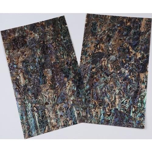 Unique Natural Sea Shell Plate Wall Decoration Accessory ZLC051