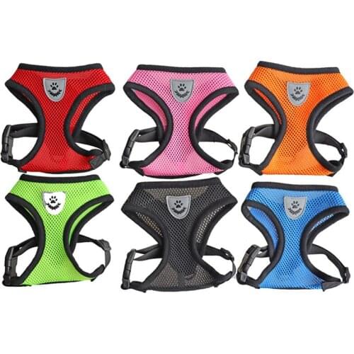 Beautydog Collars, Harnesses And Leashes