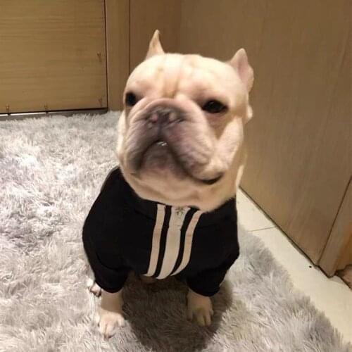 Fashion Pet Dog Jacket Clothes Puppy Winter Warm Coat Jacket Sweater For Small Medium Dogs Chihuahua Pug French Bulldog LXC26