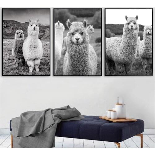 Alpaca Animal Canvas Painting Nursery Picture Llama Wall Art Prints Posters Black And White Minimalist Modern Kids Room Decor