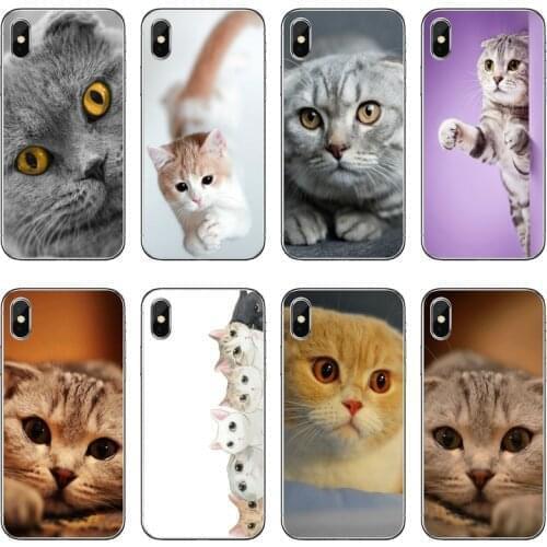 Silicone Phone Case For Huawei Honor 20 10i 9X 10 Lite 8S 8C 8X 7C 7X 7A 6C Pro 6 6A 6X 5A 5C Scottish fold cat Soft Cover