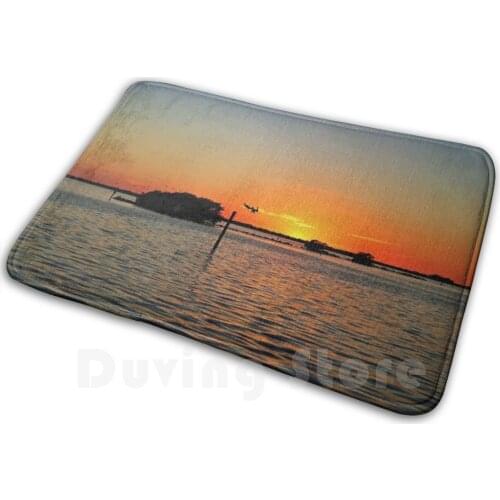 Lie Down In The Darkness Carpet Mat Rug Cushion Soft Non-Slip Sunset Silhouette Pelican Reflection Water Landscape