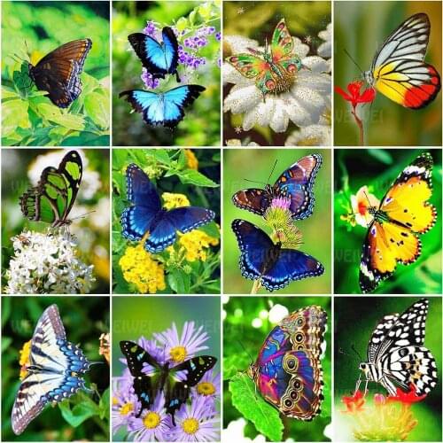 Butterfly Diamond Painting Kits for Adult Flower Full Drill Round Square Diamond Embroidery Cross Stitch Kits Fantasy Home Decor