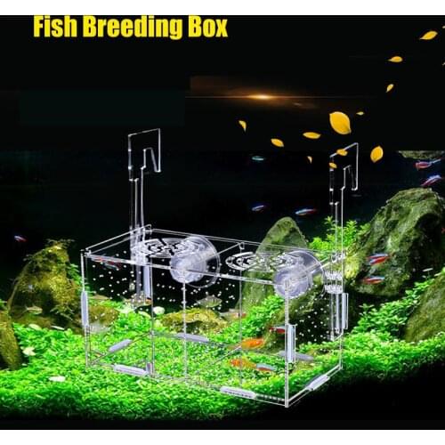 Aquarium Betta Fish Isolation Box Fish Tank Small Fry Breeding Box Transparent Acrylic Single Double Grid Aquarium Supplies