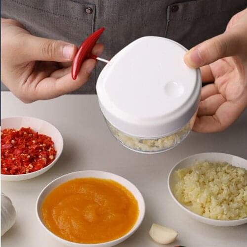 Garlic Crusher Hand Drawn Parrison Tool Press Manual Meat Grinders Grater Food Mixers Household Utilities for Kitchen Vegetable