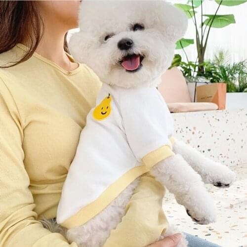Pet Dog Summer Thin T-shirt Puppy Cat Pullover Breathable Fruit Clothes Cute Comfortable Dog Two-legged Clothes XS-XL