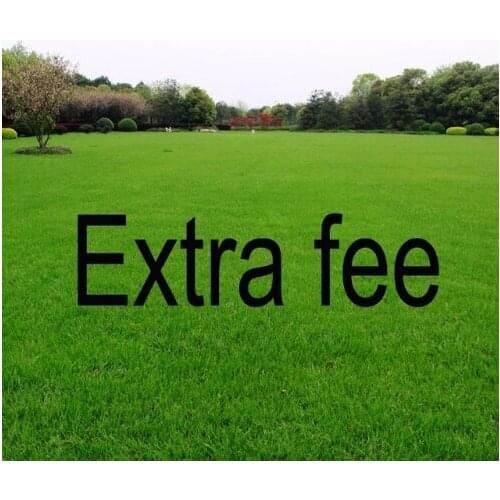 Extra Fee link,You can pay here