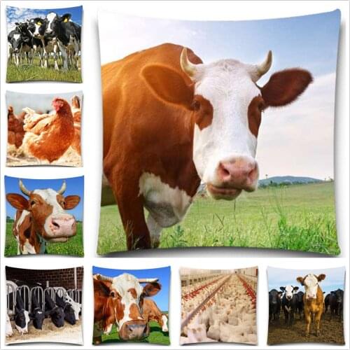 On Sale Animals Cow Cock Square Pillow Case Home sofa chair car Textiles kids Gift Bedclothes 5 size 9 style