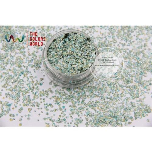 TCB091-R321 Mix Dot shapes round pattern Glitter for nail art ,nail gel, nail Polish makeup and DIY decoration