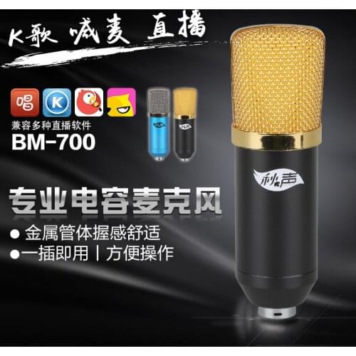 BM-700 Large Earthquake Film Condenser Microphone Set Anchor Microphone Computer Recording Special