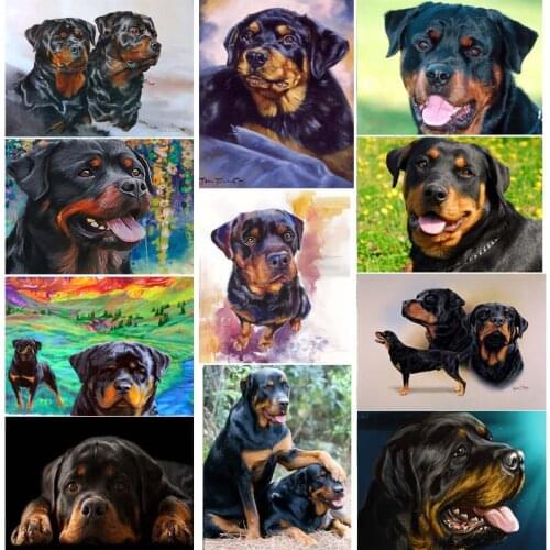 5d Diamond mosaic Rottweiler Dog 3d Diamond painting Cross Stitch cute pet Diamond Embroidery Rhinestones animal Home decoration