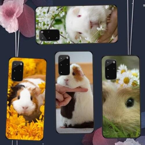 Cute animal Guinea pig Slim Phone Case For Samsung A50 A51 A71 A20E A20S S10 S20 S21 S30 Plus ultra 5G M11