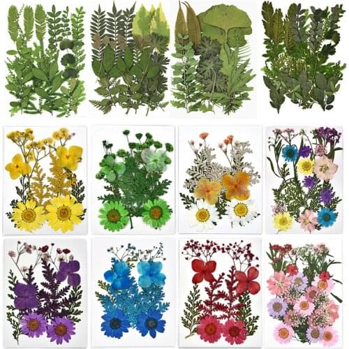 1 Bag Pressed Dried Flowers Leaves Resin Filling For Epoxy Resin Craft Making DIY Scrapbooking Home Decoration