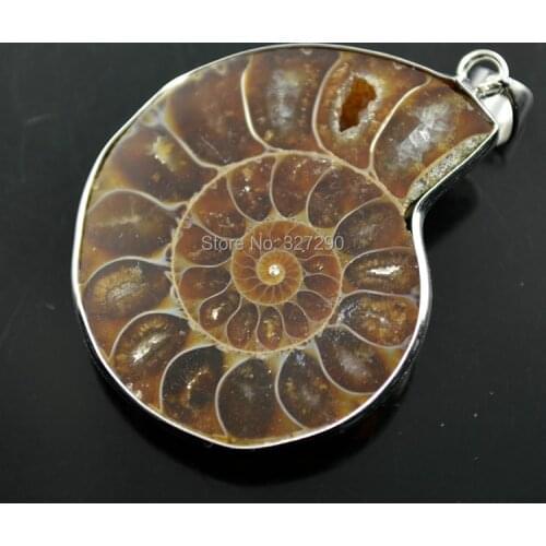 30mm Natural Nautilus Fossil Pendant Pendant For Women Necklace Making 10pc/lot