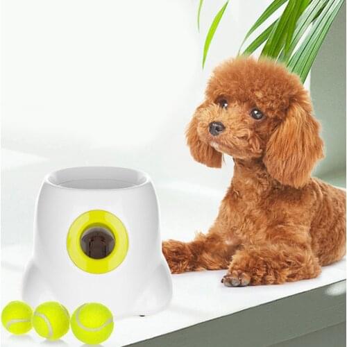 Dog Pet Launcher Dogs Interactive Toy Tennis Ball Automatic Throw Machine