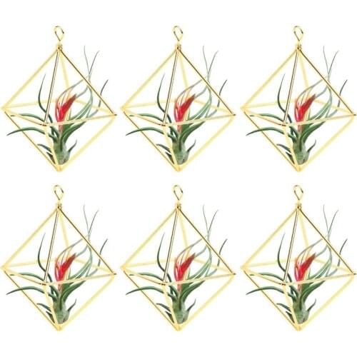 6 Packs Air Plant Stand, Modern Geometric Metal Flower Stand, Minimalist, Convenient Home, Office and Wedding Decoration