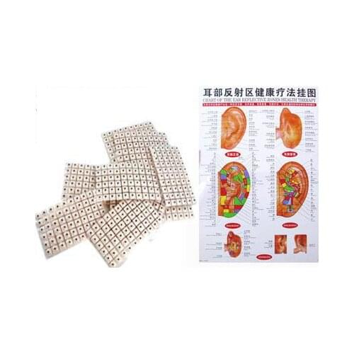 1 Box 600 Auricular Vaccaria ear press seed Acupuncture needle Seeds massage paste stickers & 1 pcs meridians acu points chart