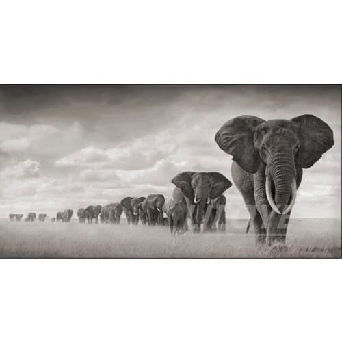 Large 5D DIY Diamond Painting Black Africa Elephant Wild Animals diamond embroidery full rhinestone art mosaic decoration FG1956