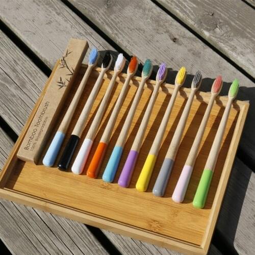 GREEON Toothbrush Holders