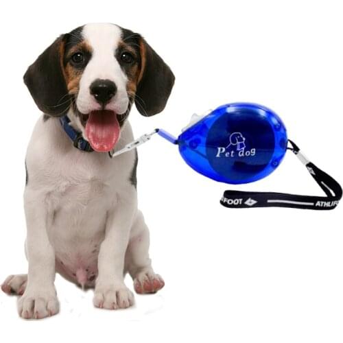 2.5M Dog Leash Automatic Retractable Pet Cat Nylon Leash Traction Rope Sports Flexible Leads Extending Pet Accessories Supplies