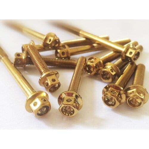 2pcs M6 burnt titanium gold stainless steel external hexagon screw outer hex fasten electric refit bolt 10mm-80mm length