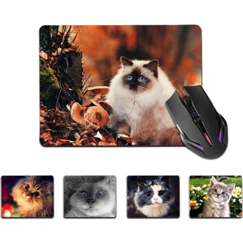 FHNBLJ Top Quality Cute Cat Animal Unique Desktop Pad Game Mousepad Top Selling Wholesale Gaming Pad mouse