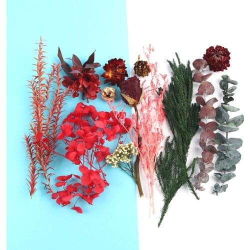 Real Dried Flower Dry Plants Immortal Flower Material Pack For Handmade Photo Frame Making Craft DIY Accessories Home Decor