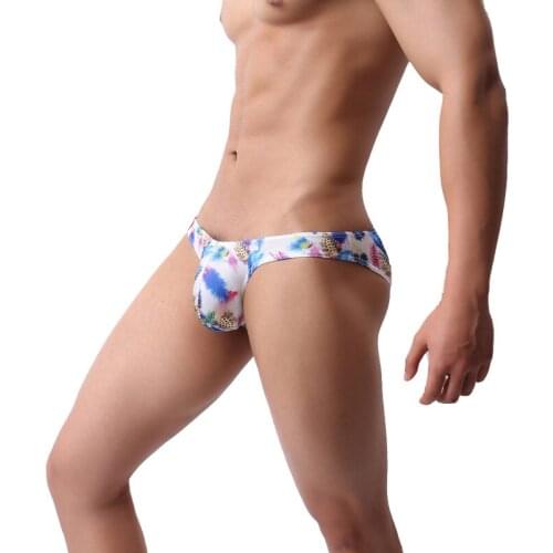 New Mens Briefs Polyamaide With Spandex Mesh Printing Triangle Men Underwear Sissy Panties Gay Sexy Underwear Mens Lingerie