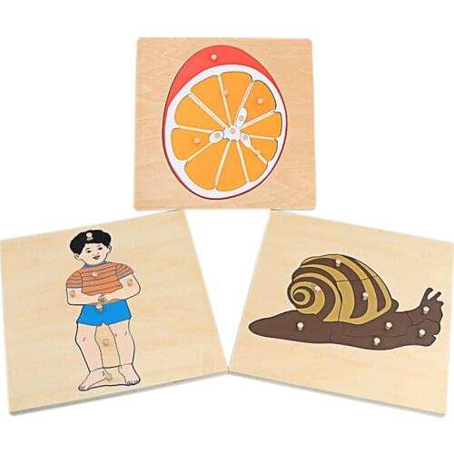 Montessori Science Toys Boy Snail Orange Sets Puzzle Toy for Children Wood Early Childhood Education Preschool Training Learning