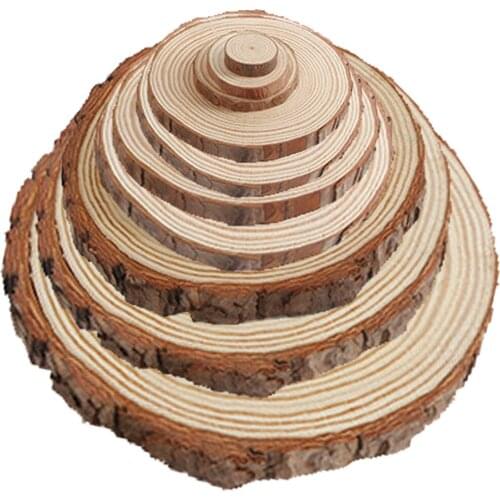 10pcs Natural Wooden Slices Unfinished Wooden Circle with Bark Log Discs for DIY Arts Craft Rustic Wedding Christmas Ornaments