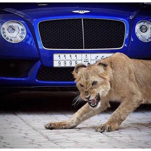 5D DIY diamond painting Lion car Full square/round Embroidery Pattern 3D Cross stitch kits mosaic wall stickers