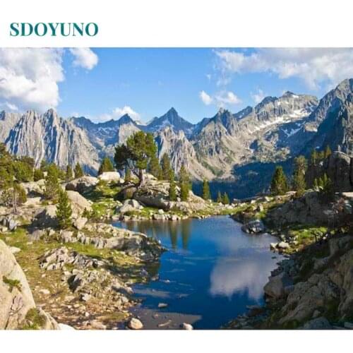 SDOYUNO Acrylic Painting By Numbers Flower Landscape DIY Paint By Numbers On Canvas 60x75cm Frameless Draw Number Home Decor